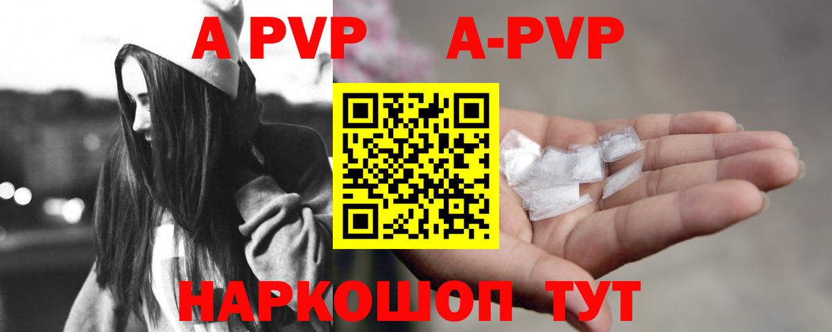 APVP СК Новодвинск