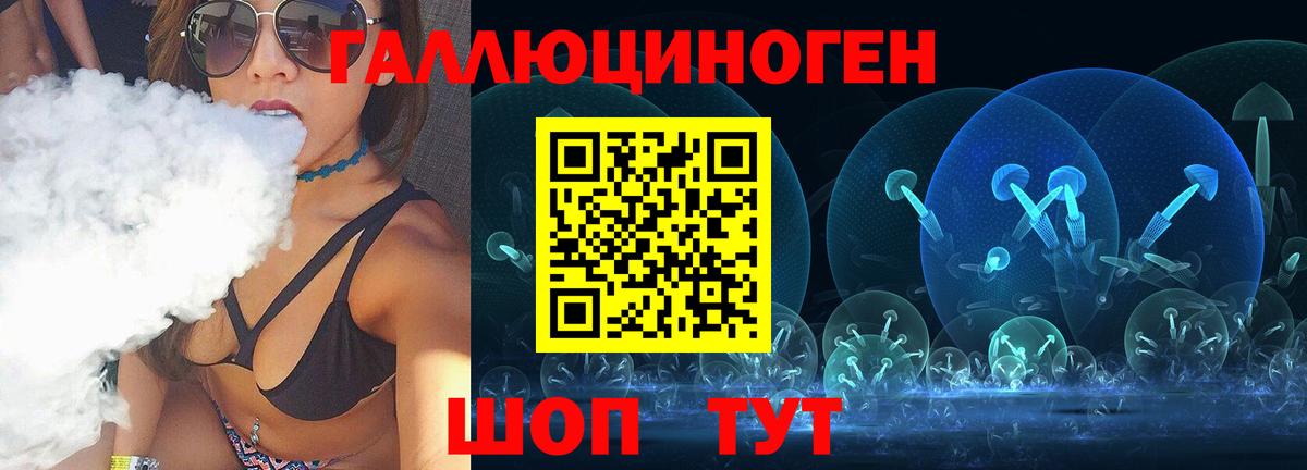 Псилоцибиновые грибы Psilocybine cubensis Новодвинск